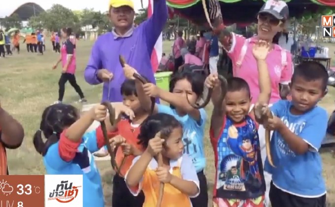 สีสันวิ่งผลัดจับปลาไหล จ.สุรินทร์