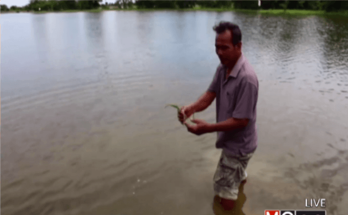 น้ำท่วมนาข้าวไร่ผักกว่า 200 ไร่ จ.ราชบุรี