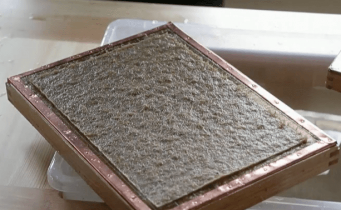 สวนสัตว์ในเช็กผลิตกระดาษจากมูลช้าง