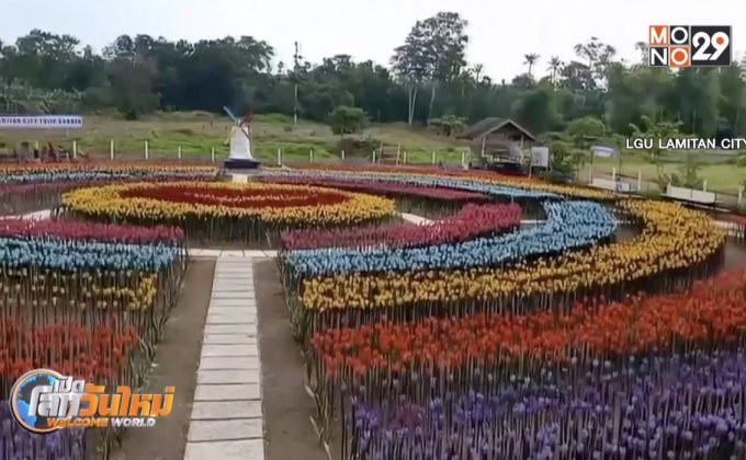 สวนดอกทิวลิปพลาสติกในฟิลิปปินส์