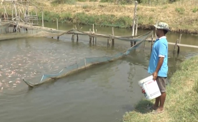 ภัยแล้งกระทบผู้เลี้ยงปลากระชัง จ.นครราชสีมา