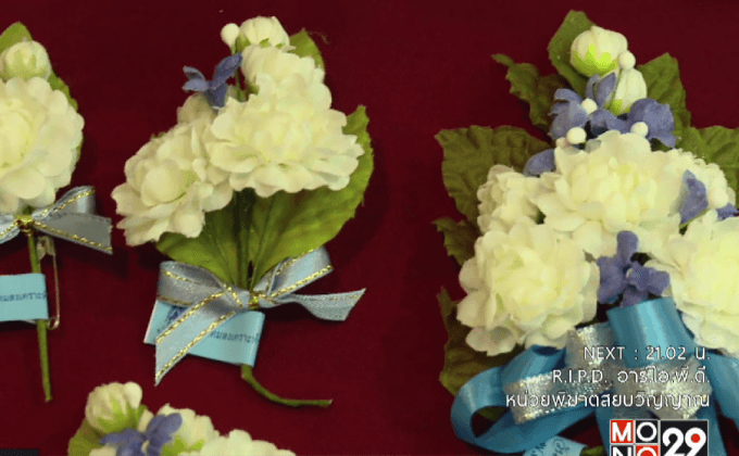 สภาสังคมสงเคราะห์ฯ แถลงเตรียมจัดงานวันแม่แห่งชาติ ปี 2559