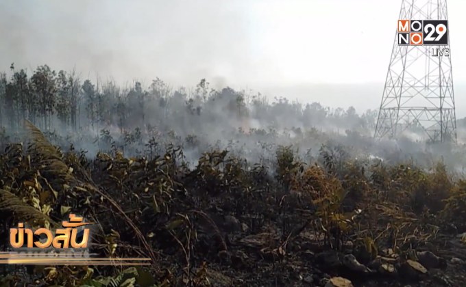 เกิดไฟป่าหลายพื้นที่ในจังหวัดพิษณุโลก