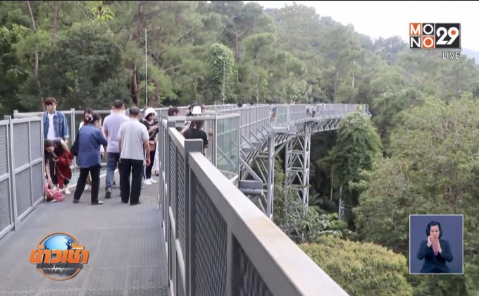 นทท.แห่เดินชมธรรมชาติ“คาโนปี้วอล์คเวย์” เชียงใหม่