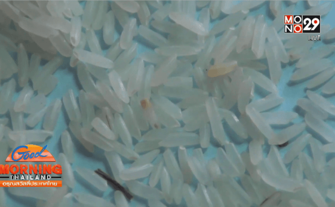 พบข้าวสารปลอมที่ จ.นครนายก