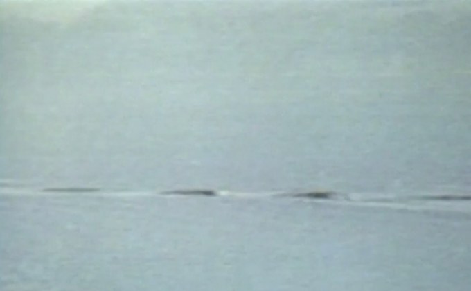 เผยสมมติฐานใหม่ “เนสซี่แห่งล็อกเนส” อาจเป็นแค่ปลาไหลยักษ์