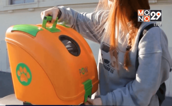 กล่องสัตว์เลี้ยงสำหรับสกูตเตอร์