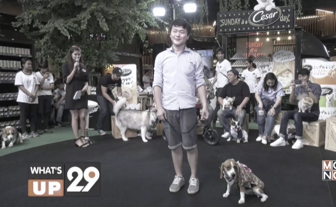 ซีซาร์ เปิดปรากฏการณ์ “น้องหมาต่อแถวยาว… ที่สุดในประเทศ”
