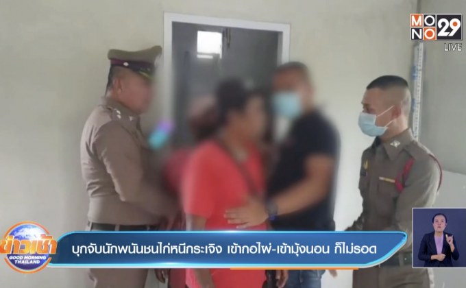 บุกจับนักพนักชนไก่หนีกระเจิง เข้ากอไผ่-เข้ามุ้งนอน ก็ไม่รอด