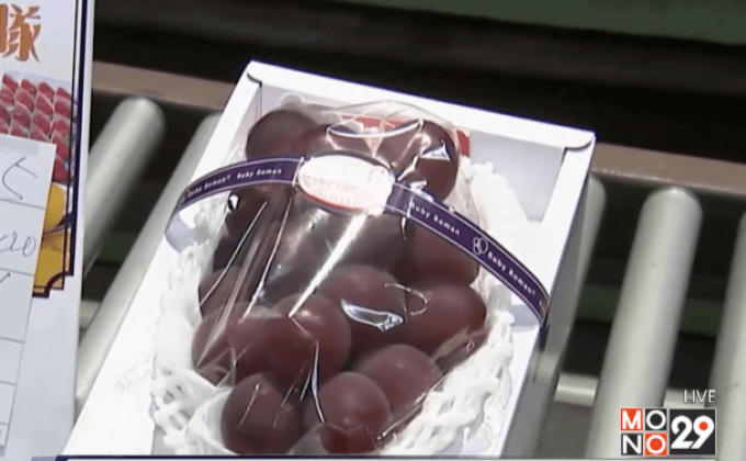 องุ่นพวงละเกือบ 3.5 แสนบาทในญี่ปุ่น