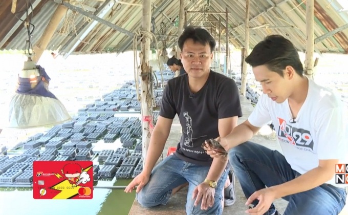 เจษฏาพาลุย : สัมผัสการเลี้ยงปูนิ่มที่ห่อทรัพย์ฟาร์ม