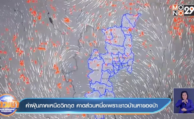 ค่าฝุ่นภาคเหนือวิกฤต คาดส่วนหนึ่งเพราะชาวบ้านหาของป่า