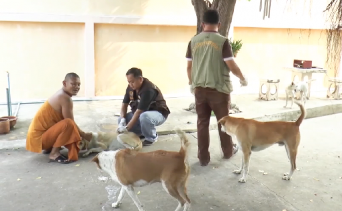 สังเวย “พิษสุนัขบ้า” 3 ราย – ประกาศพื้นที่สีแดง 22 จังหวัด