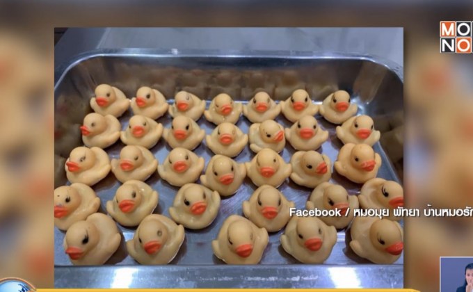 คนรักหมาต้องฟัง หลังพบสุนัขกลืนตุ๊กตากว่า 32 ตัว