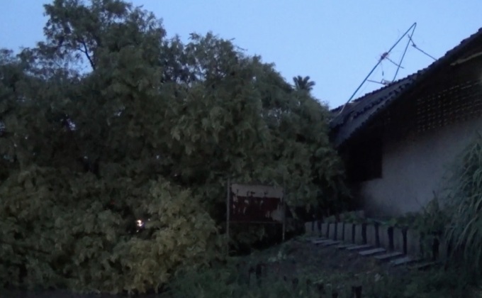 พายุกระหน่ำทำต้นมะขามใหญ่ล้มใส่บ้านพัง