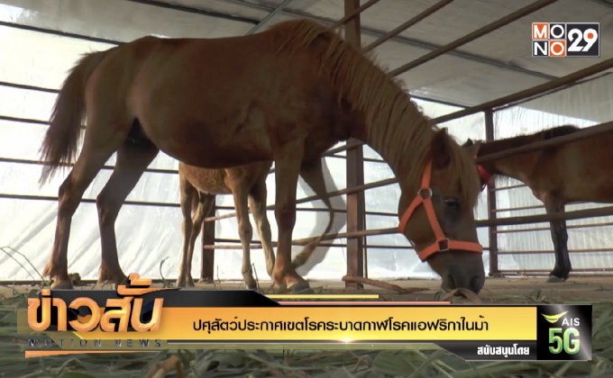 ปศุสัตว์ประกาศเขตโรคระบาดกาฬโรคแอฟริกาในม้า