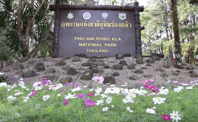 นักท่องเที่ยวชมดอกไม้เมืองหนาว ภูหินร่องกล้า