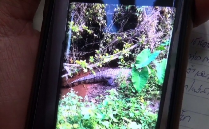 นักท่องเที่ยวถ่ายเซลฟี่จระเข้ถูกขย้ำที่ขา