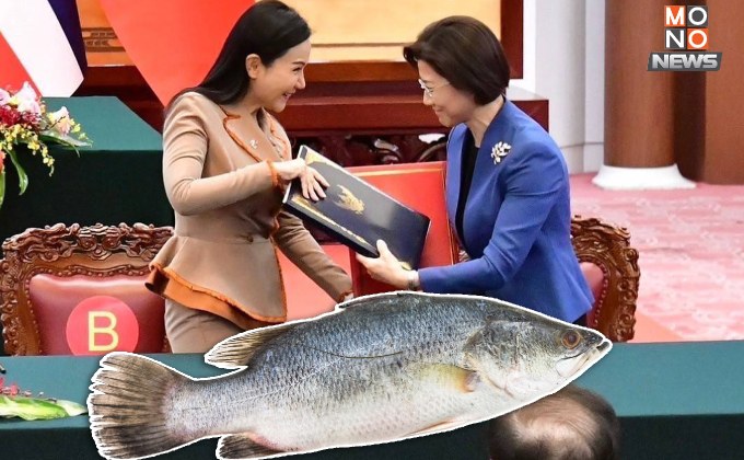 “ไทย-จีน” ลงนามพิธีสารเกณฑ์ตรวจสอบ-สุขอนามัย เตรียมส่ง “ปลากะพงขาว” ไปจีน ทำเงินกว่า 4,900 ล้าน/ปี