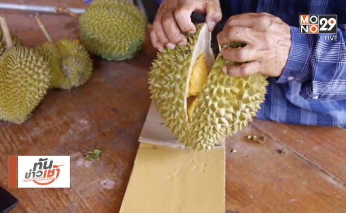 ชาวสวนจันทบุรี เปิดขายทุเรียนทางออนไลน์