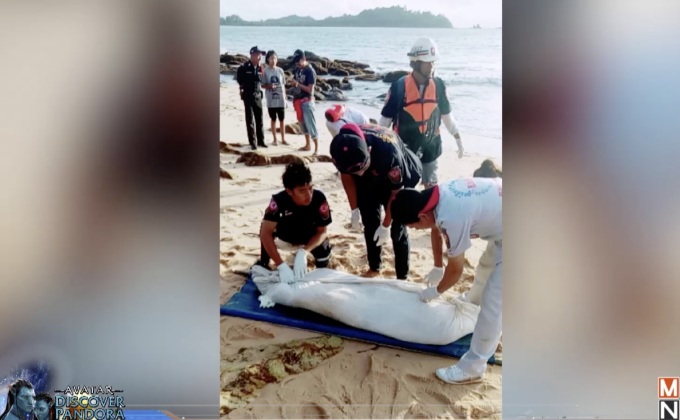 พบแล้วศ​พลูกเรือประมงที่สูญห​าย จ.ระนอง