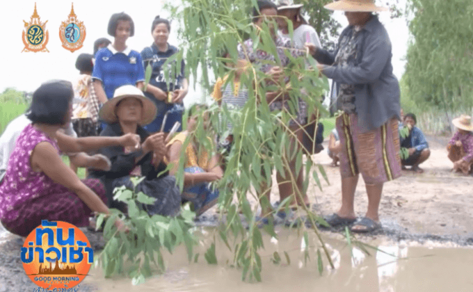 สุดทน! ชาวบ้านปลูกต้นไม้ จับปลา ประชดถนนแสนหลุม