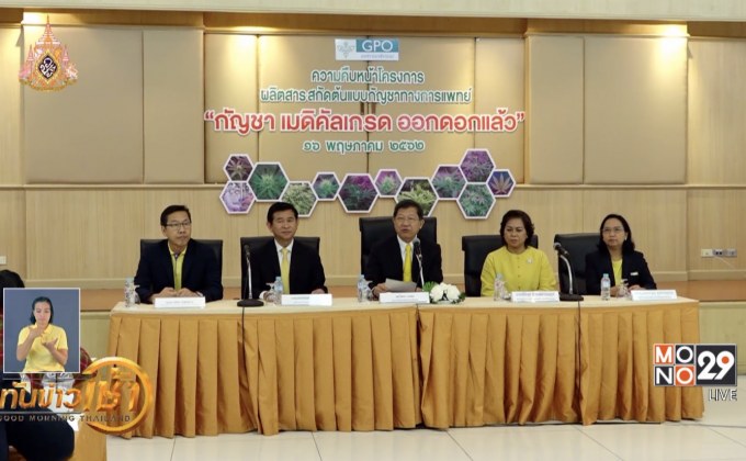 อภ.เตรียมทดลองน้ำมันกัญชาปลายเดือน ก.ค.