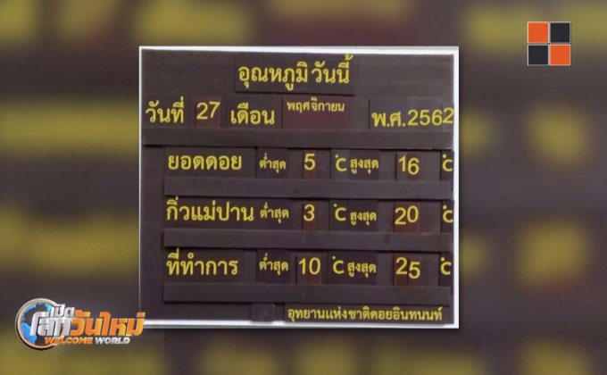 ดอยอินทนนท์หนาวจัด อุณหภูมิเหลือ 3 องศาฯ