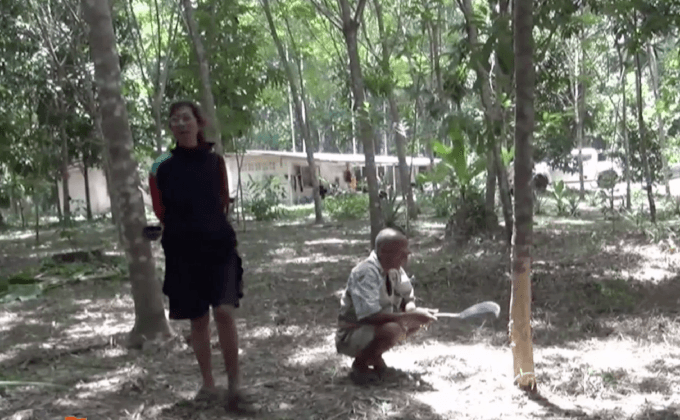 หมีออกอาละวาดทำลายพืชสวน จ.นครศรีฯ