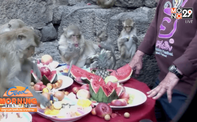 โต๊ะจีนลิงลพบุรีจัดเต็มให้ลิงอิ่ม