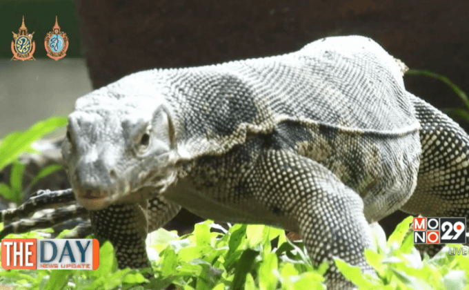 ถึงเวลาจัดระเบียบ (เหี้ย)