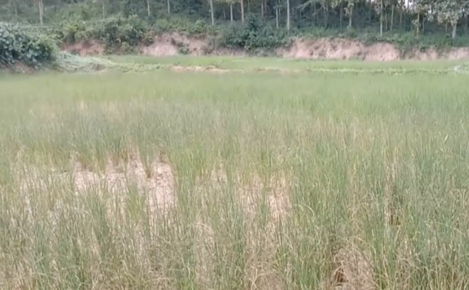 จ.พะเยา เสี่ยงเกิดวิกฤตภัยแล้ง