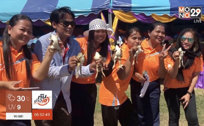 กีฬามหาสนุก แข่งจับ “กบ” มือเปล่า