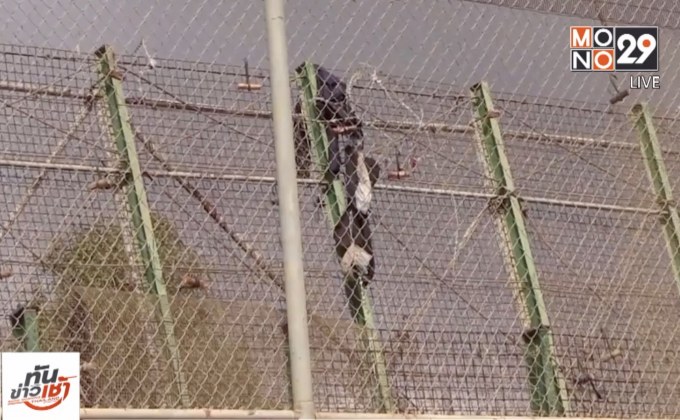 ผู้อพยพชาวแอฟริกันแห่ปีนรั้วเข้าสเปน