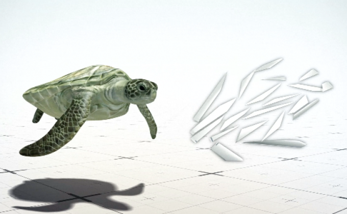 นักวิจัยชี้พลาสติกชิ้นเดียวทำเต่าตายได้