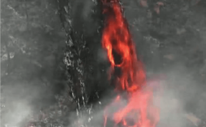 เกิดไฟป่าในหลายพื้นที่ของอินเดีย