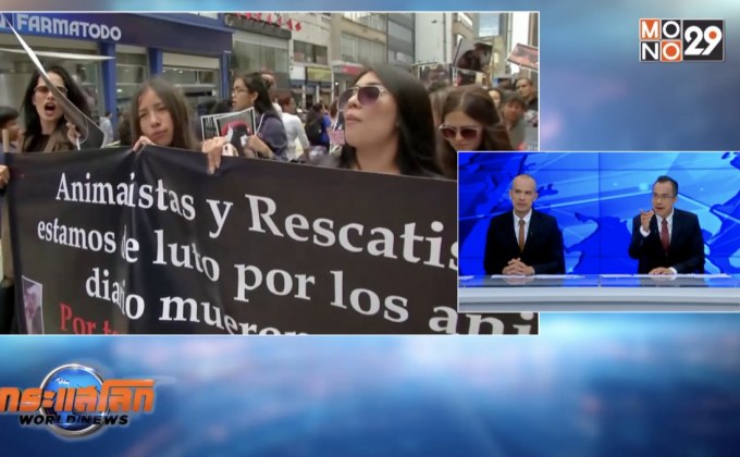 ชุมนุมเรียกร้องให้ปกป้องสัตว์ในโคลอมเบีย