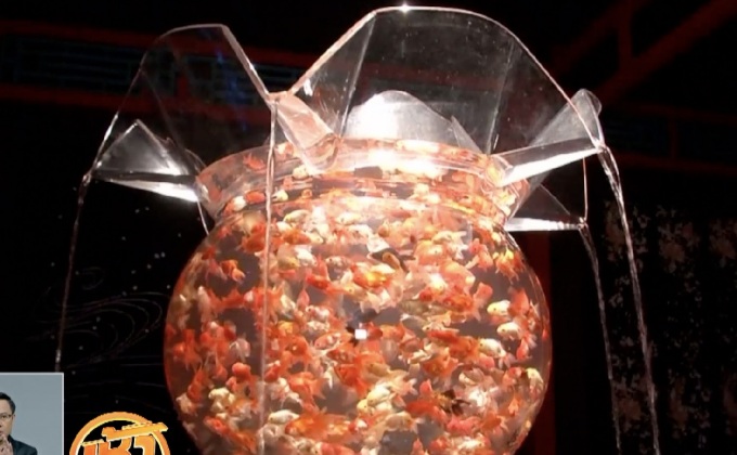 นิทรรศการศิลปะจากปลาทอง