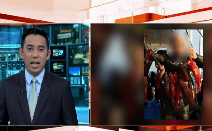 คาดโทษเรือนำ นทท.ฮ่องกงดำน้ำยิงปลาที่สิมิลัน