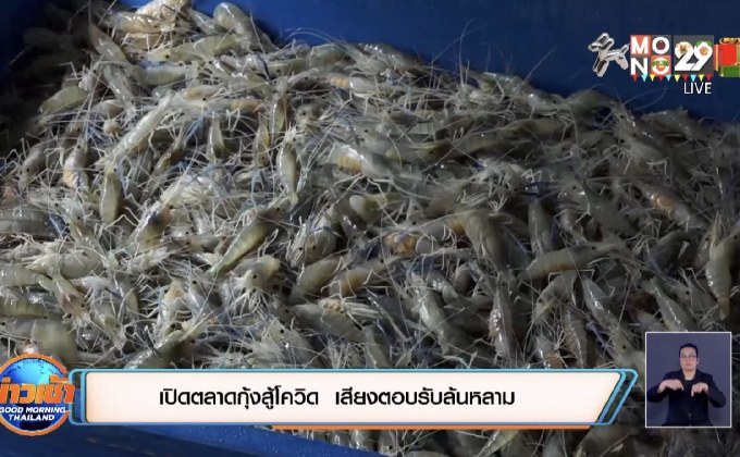 เปิดตลาดกุ้งสู้โควิค  เสียงตอบรับล้นหลาม