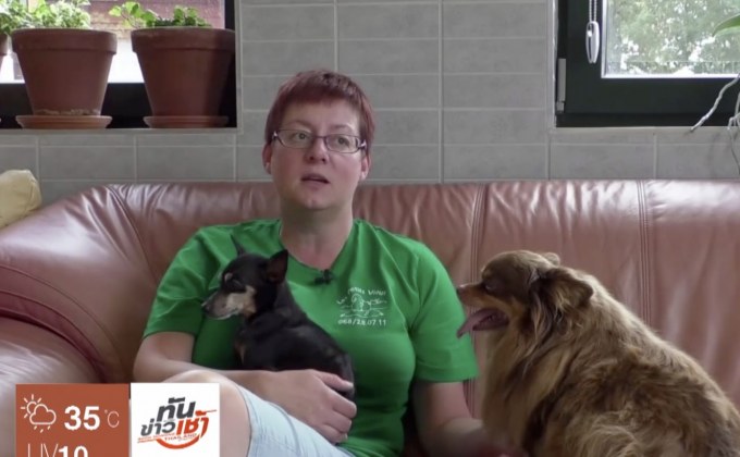 บ้านพักสัตว์เลี้ยงชราในเบลเยียม