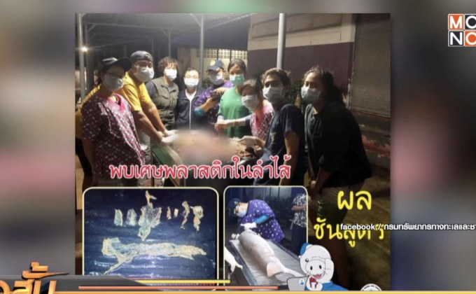 ผ่าซากพะยูน “มาเรียม” พบขยะพลาสติกอุดตันลำไส้