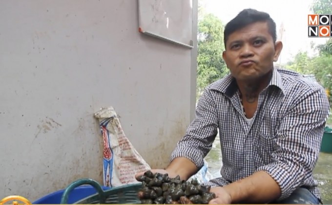 สุดเจ๋ง! เลี้ยงหอยขมขาย สร้างรายได้หลักแสน