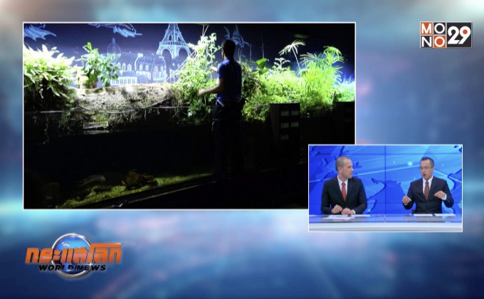 พิพิธภัณฑ์ฝรั่งเศสทำฟาร์มผักในตู้ปลา