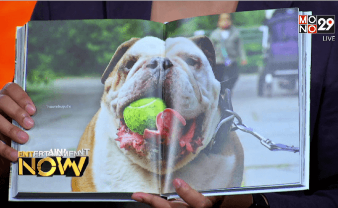 โมโนพับลิชชิ่ง เปิดตัวสำนักพิมพ์ใหม่ “GEEK BOOK” ตอน2