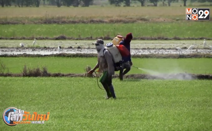 ถอดบทเรียนต่างประเทศเลิกใช้สารพิษทางการเกษตร