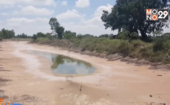 หลายจังหวัดภาคอีสาน เริ่มประสบปัญหาฝนทิ้งช่วง