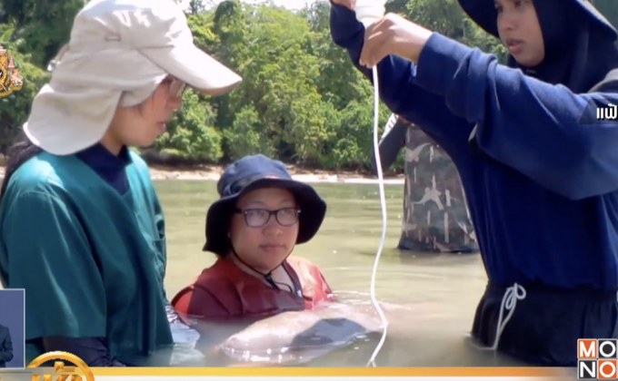 ปลุกกระแสมาเรียมฟีเว่อร์กระตุ้นให้รักพะยูนมากขึ้น