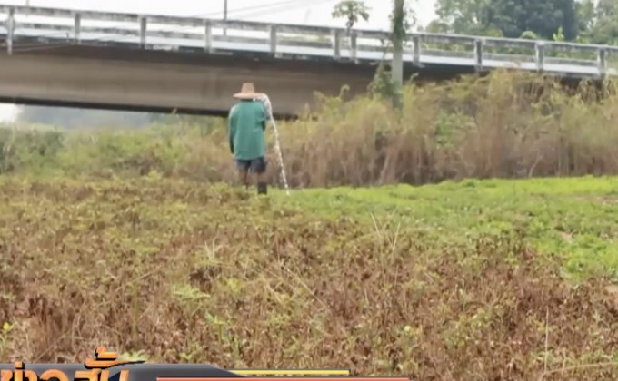 ภัยแล้งภาคเหนือเริ่มขยายวงกว้าง