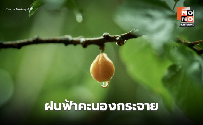 สภาพอากาศวันนี้ ไทยมีฝนฟ้าคะนองกระจาย – ฝนตกหนักบางแห่ง